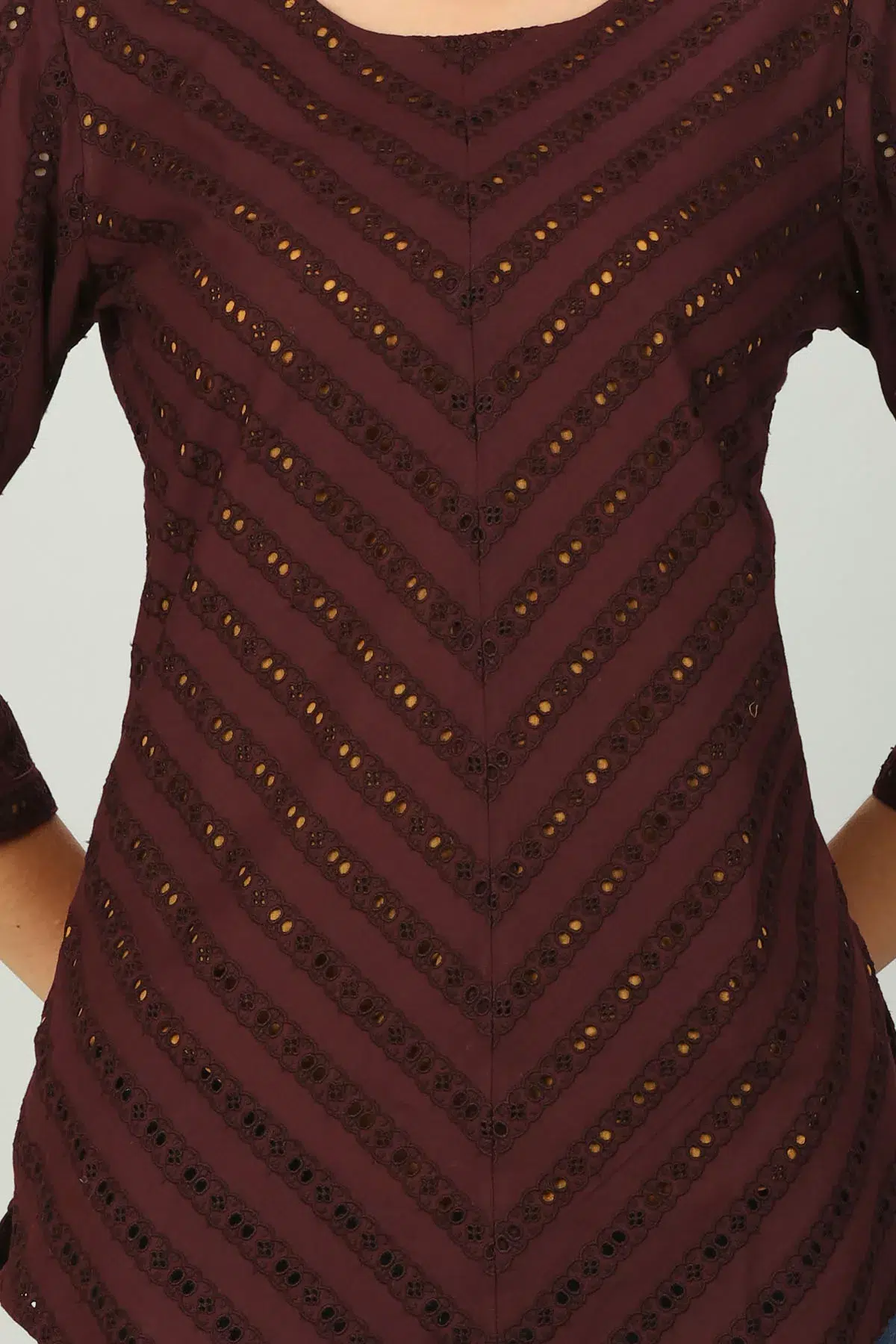 Brown Schiffli Women Top Trendy