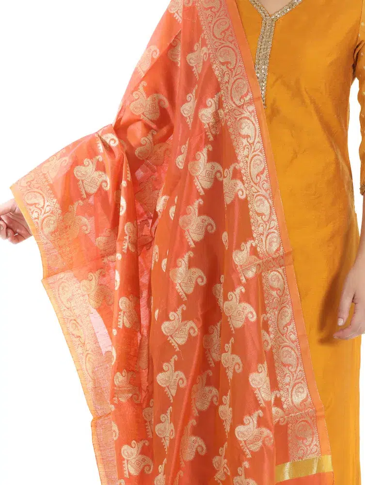 Coloured Silk & Georgette Kurti - Image 7