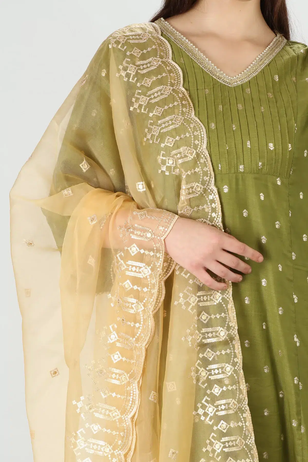 Whimsical Organza Beige Dupatta - Image 3