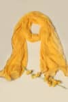 Mustard Dupatta For Women